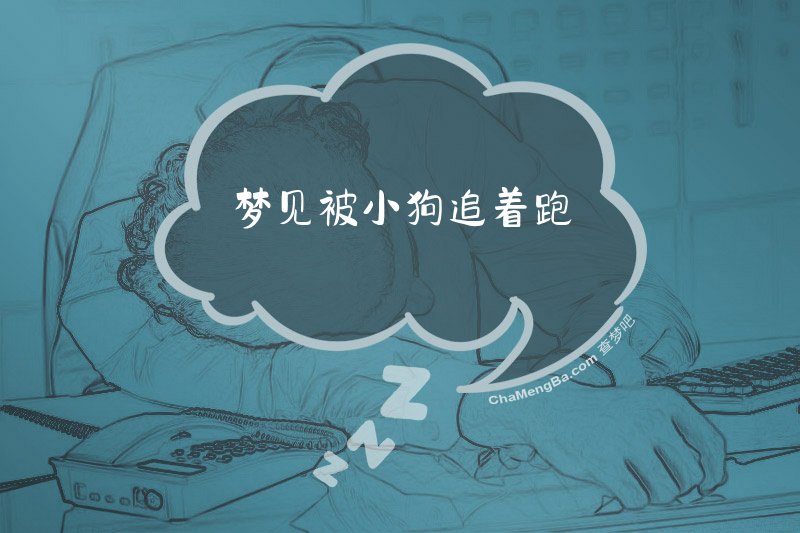 梦见被小狗追着跑