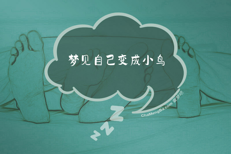 梦见自己变成小鸟