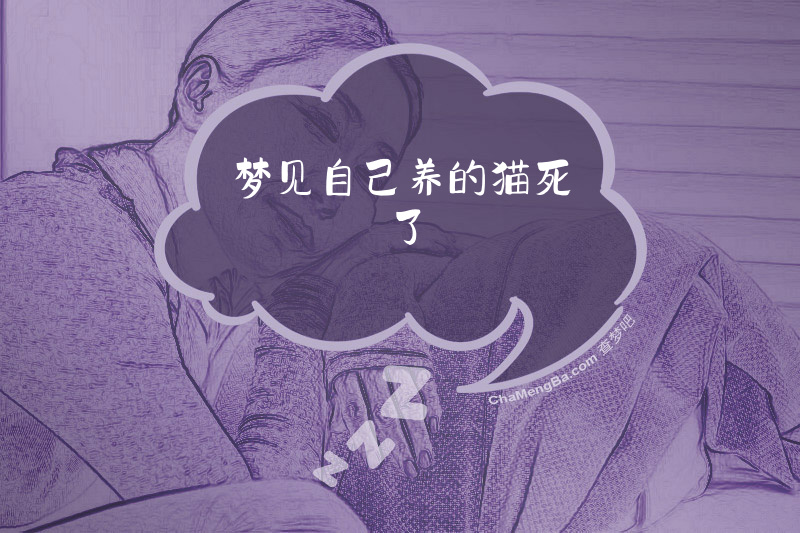 梦见自己养的猫死了