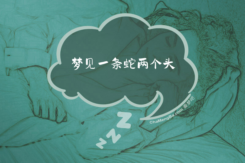 梦见一条蛇两个头