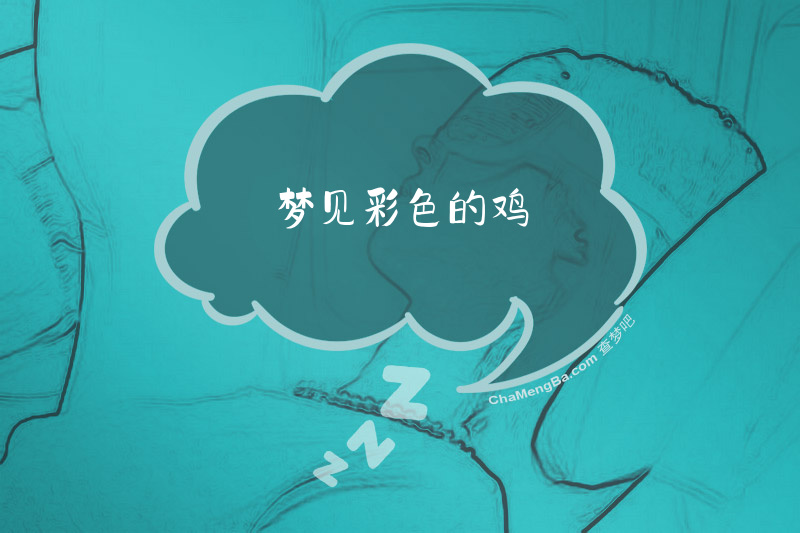 梦见彩色的鸡