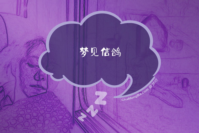 梦见信鸽