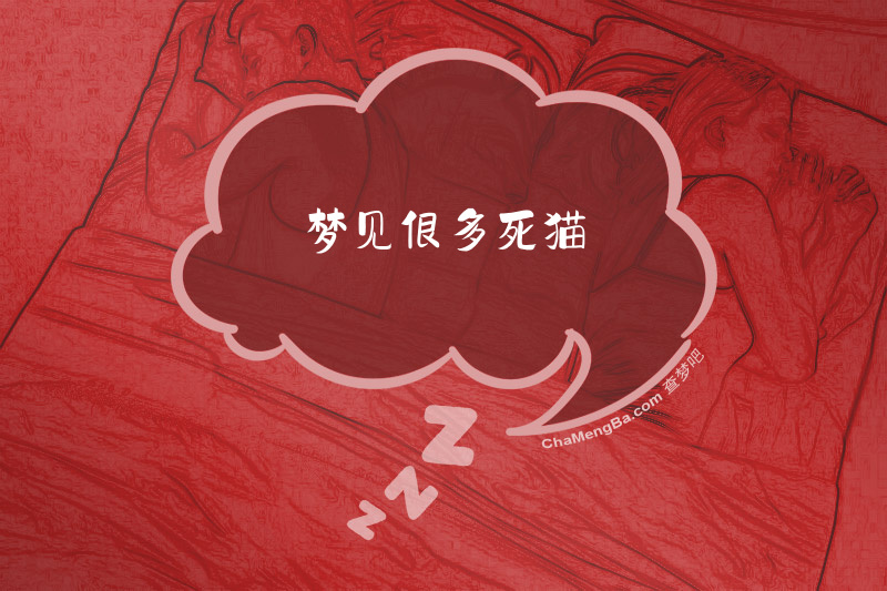 梦见很多死猫