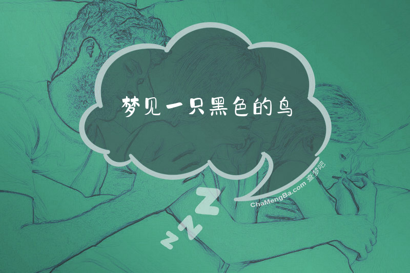 梦见一只黑色的鸟