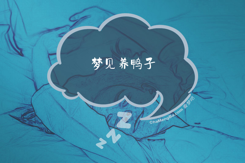 梦见养鸭子