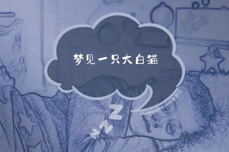 梦见一只大白猫