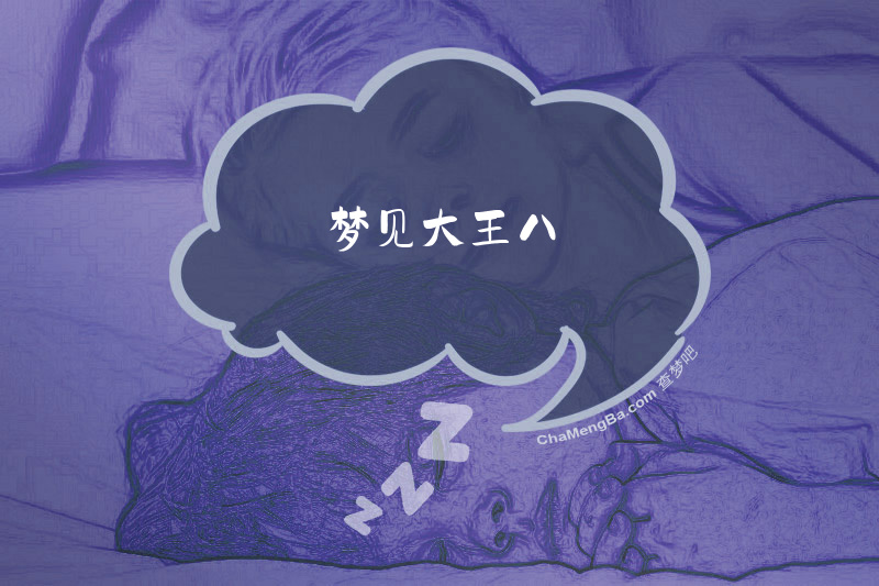 梦见大王八