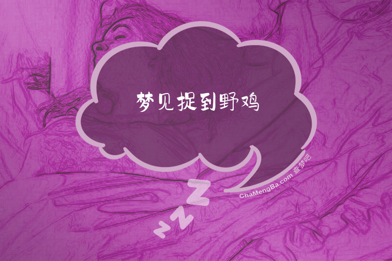 梦见捉到野鸡