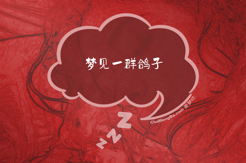 梦见一群鸽子