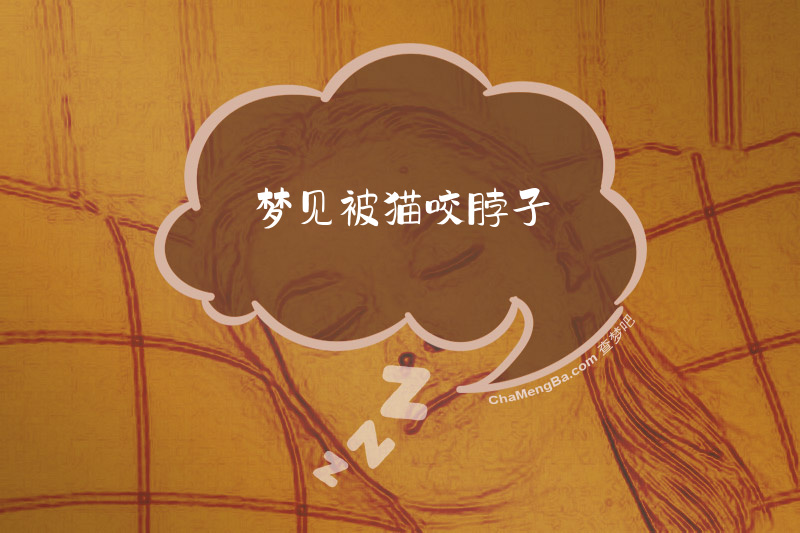 梦见被猫咬脖子