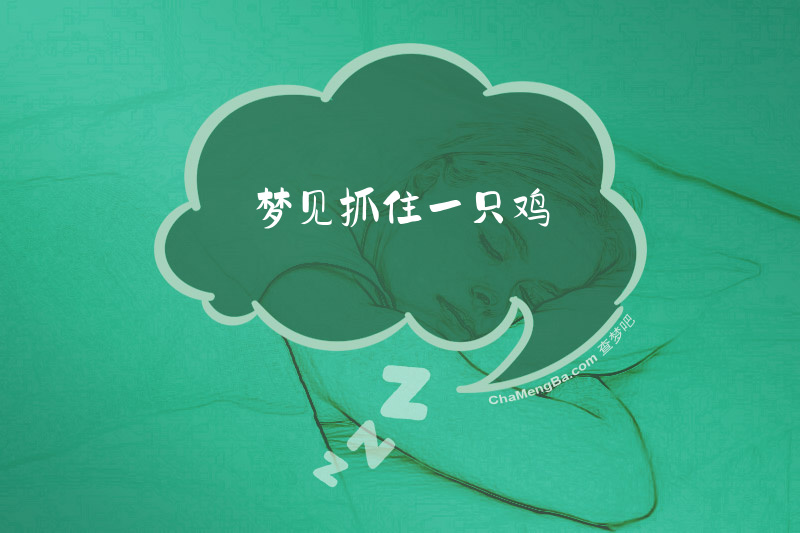 梦见抓住一只鸡