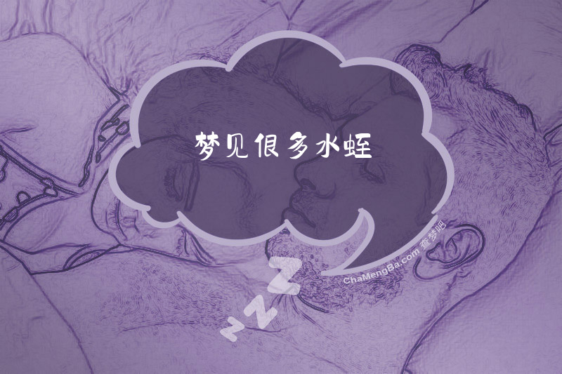 梦见很多水蛭