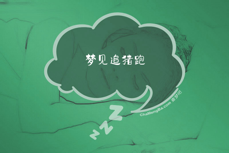 梦见追猪跑