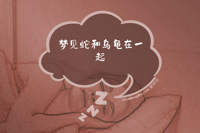 梦见蛇和乌龟在一起