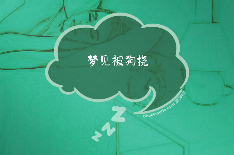 梦见被狗挠
