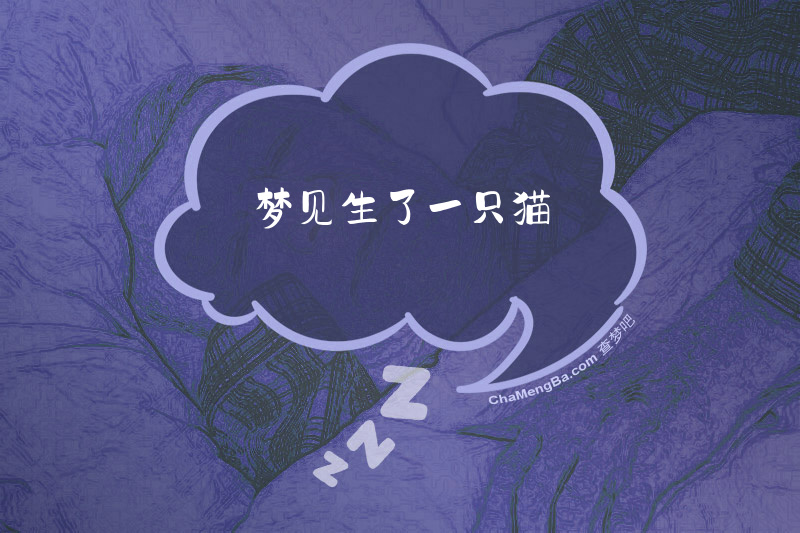 梦见生了一只猫
