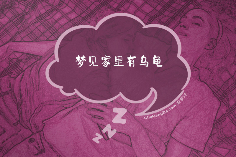 梦见家里有乌龟