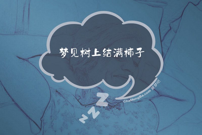 梦见树上结满柿子