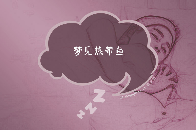 梦见热带鱼