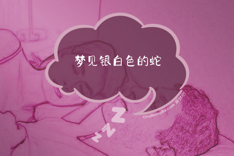 梦见银白色的蛇