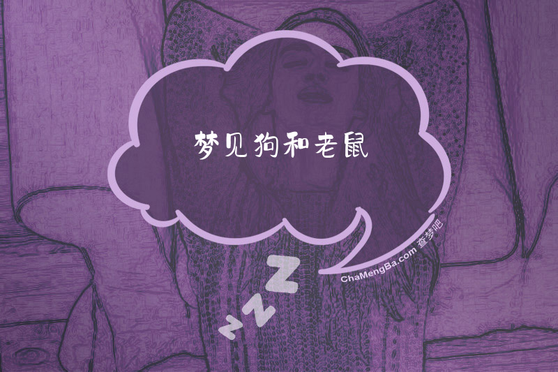 梦见狗和老鼠