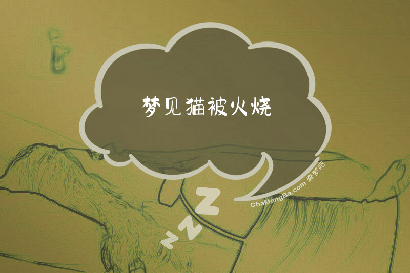 梦见猫被火烧