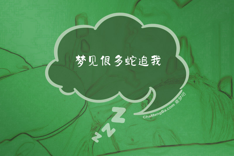 梦见很多蛇追我
