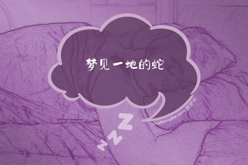 梦见一地的蛇