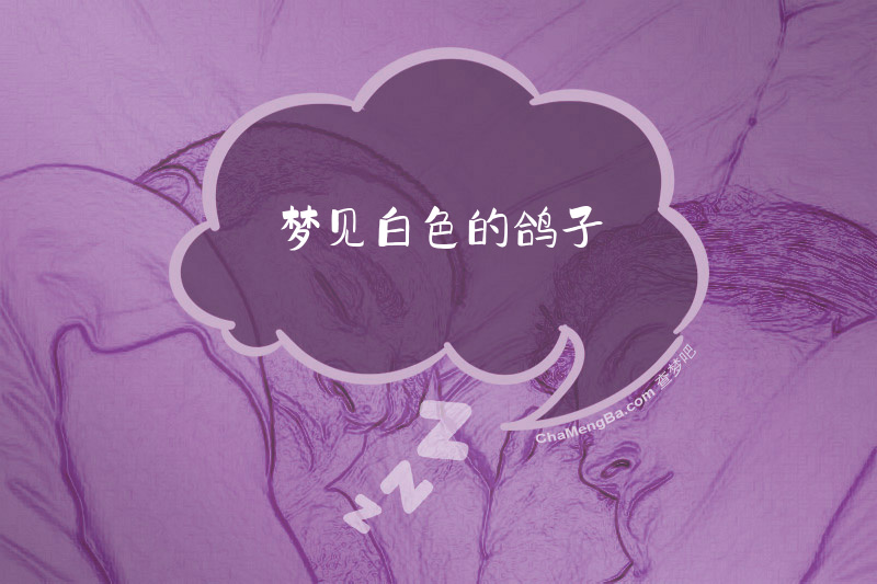 梦见白色的鸽子