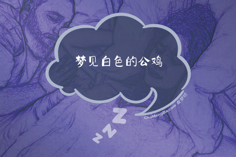 梦见白色的公鸡