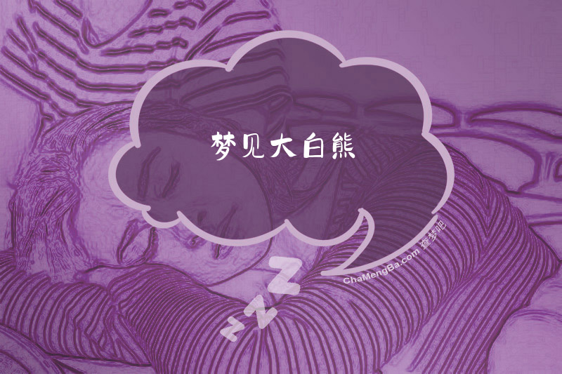 梦见大白熊