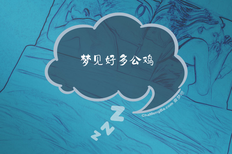 梦见好多公鸡