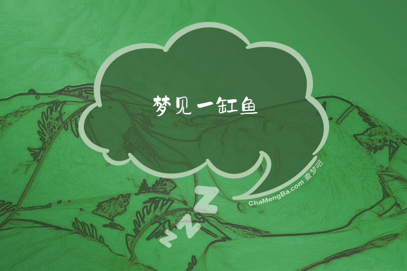 梦见一缸鱼