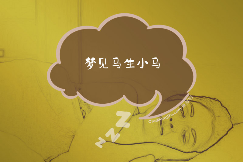 梦见马生小马