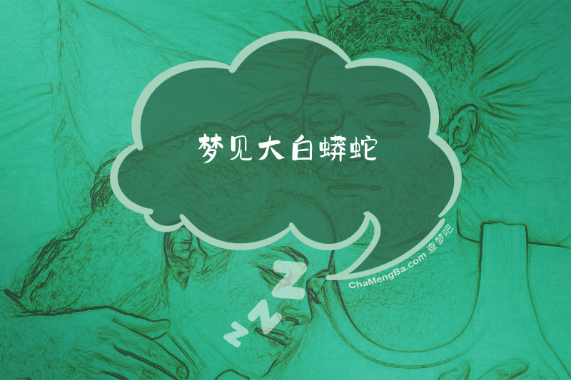 梦见大白蟒蛇