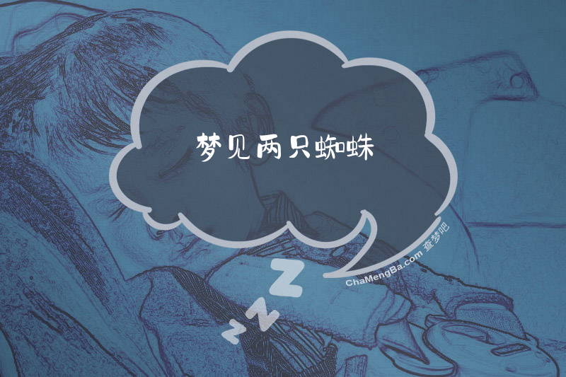 梦见两只蜘蛛