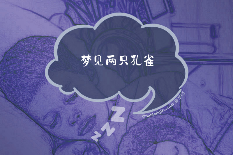 梦见两只孔雀