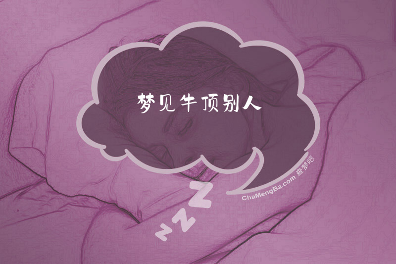 梦见牛顶别人