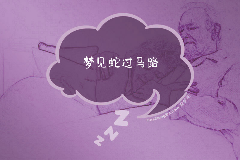 梦见蛇过马路