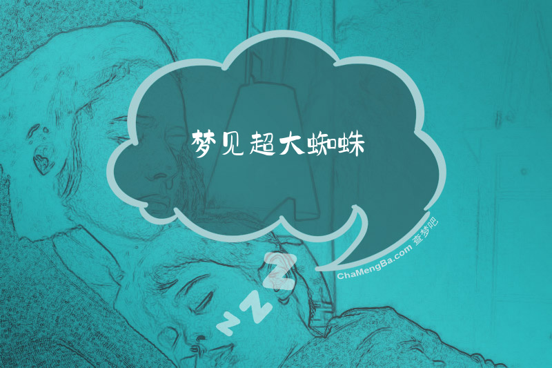 梦见超大蜘蛛