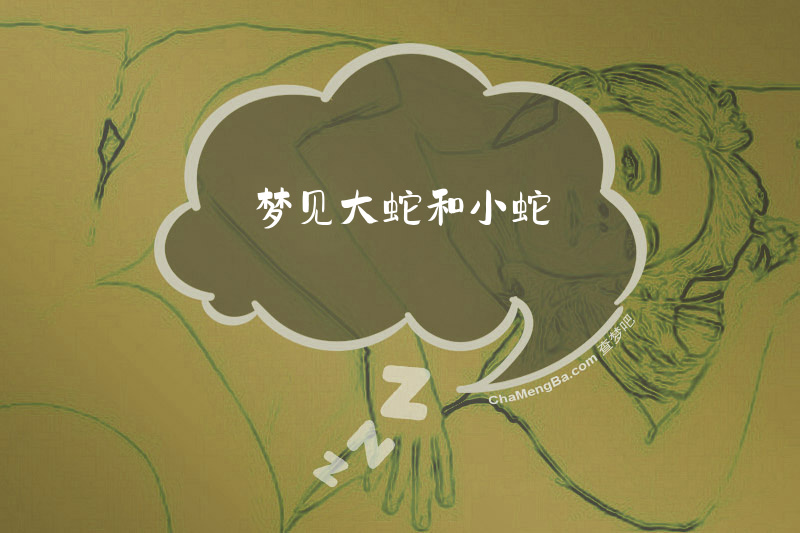 梦见大蛇和小蛇