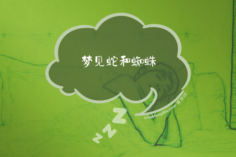 梦见蛇和蜘蛛