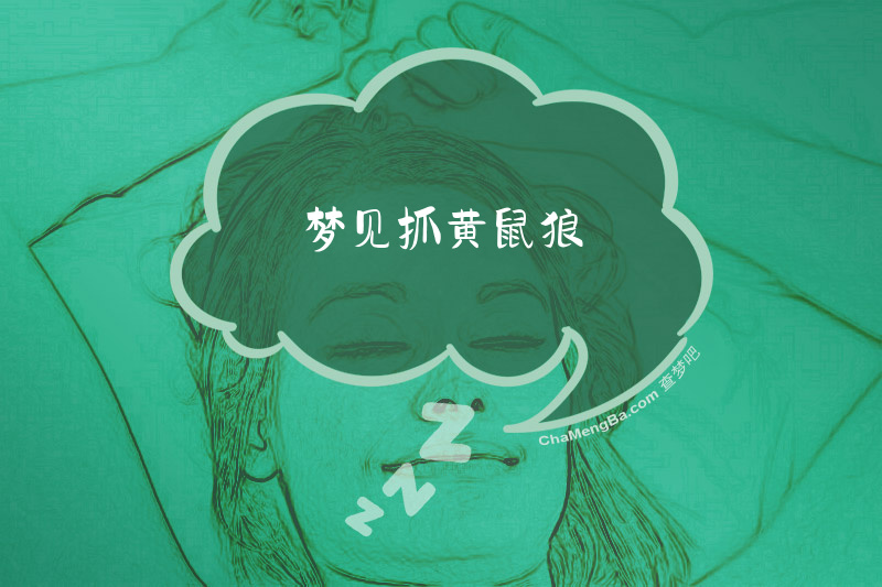 梦见抓黄鼠狼
