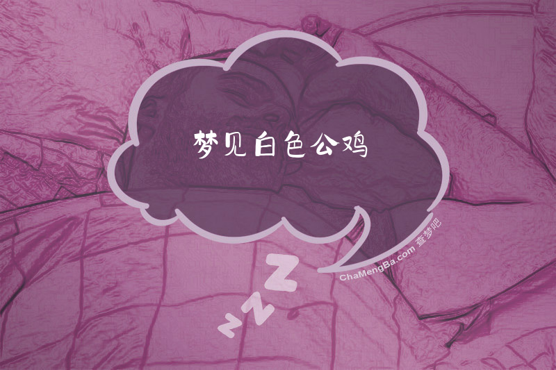 梦见白色公鸡