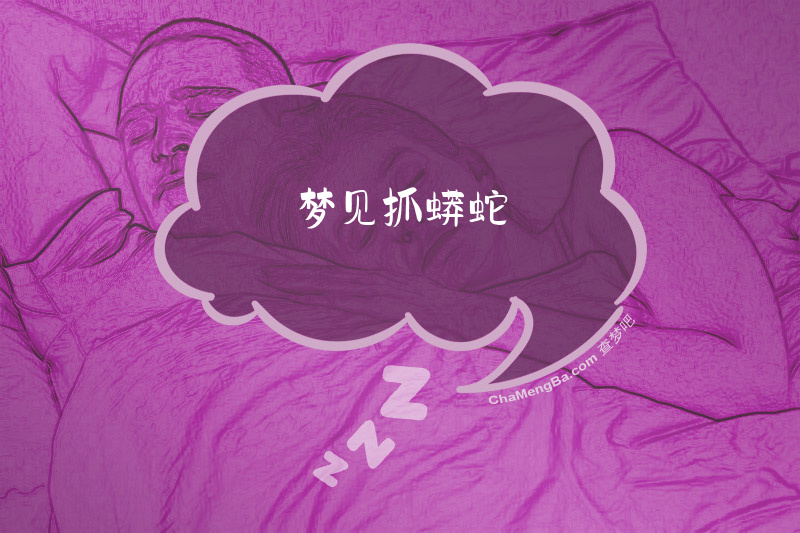 梦见抓蟒蛇