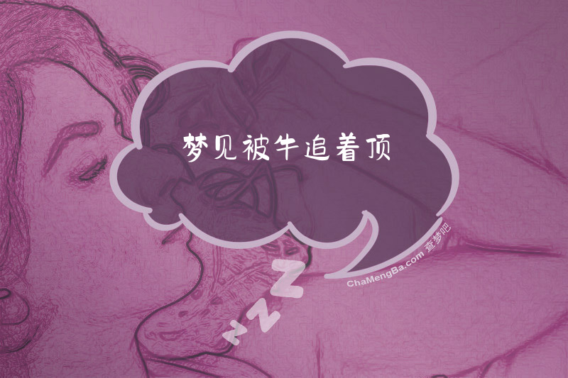 梦见被牛追着顶