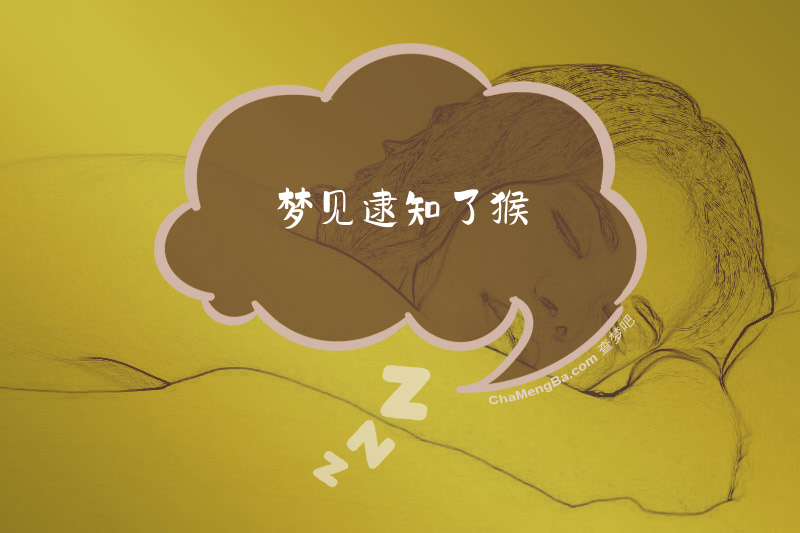 梦见逮知了猴