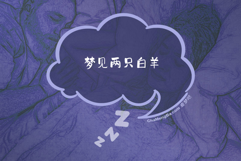 梦见两只白羊