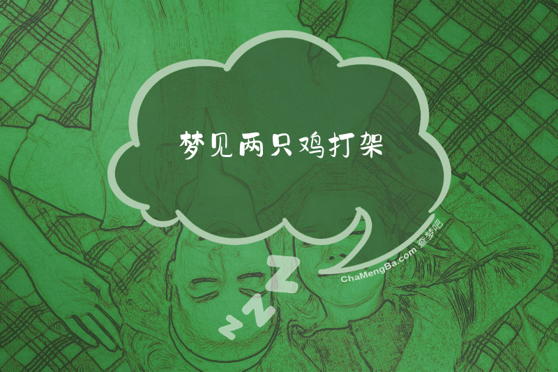 梦见两只鸡打架