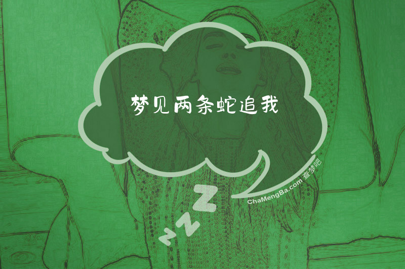 梦见两条蛇追我